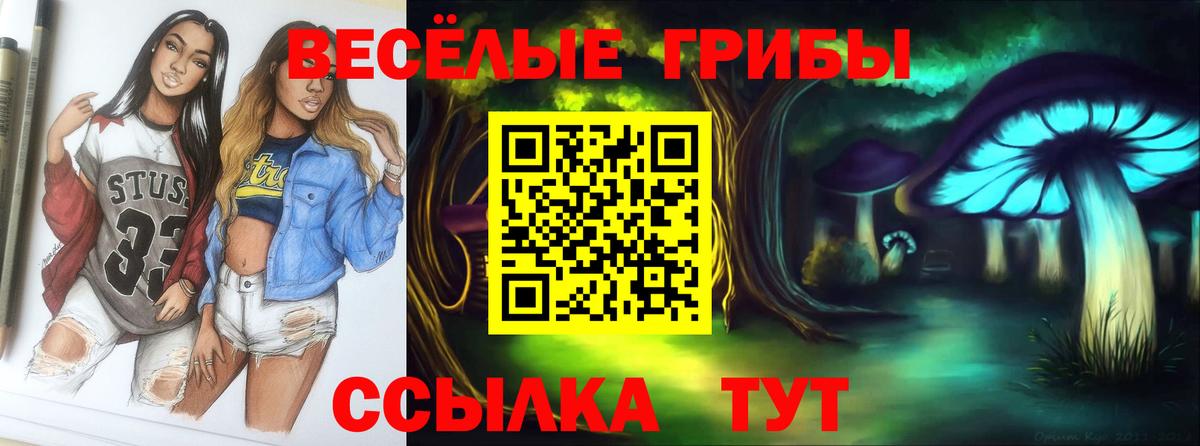 Галлюциногенные грибы GOLDEN TEACHER  Вход с VPN  Майкоп 